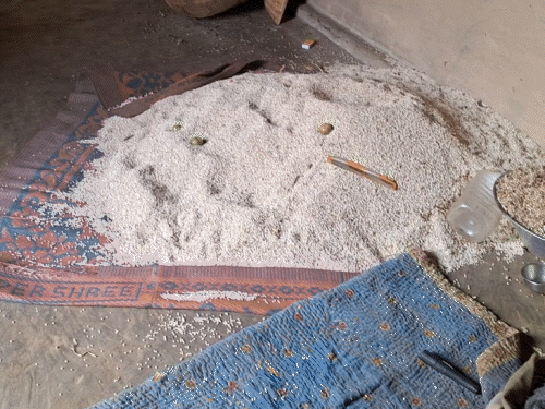 गिरिडीह के बेलाटांड़ में जंगली हाथियों का आतंक | गिरिडीह के बेलाटांड़ में जंगली हाथियों का आतंक:ग्रामीण सूद से पाटकर ले ली जान, अनाज भी खा गए, घर भी तोड़ दिए - गिरिडीह समाचार