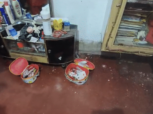 डीएवी पतरातू प्रिंसिपल के घर में चोरी | देवी पतरातू के वास्तुकार के घर में चोरी: गिरीडीह आवास में हुई घटना, शहर में बंद हुई महिला चोर की तस्वीर - गिरिडीह समाचार