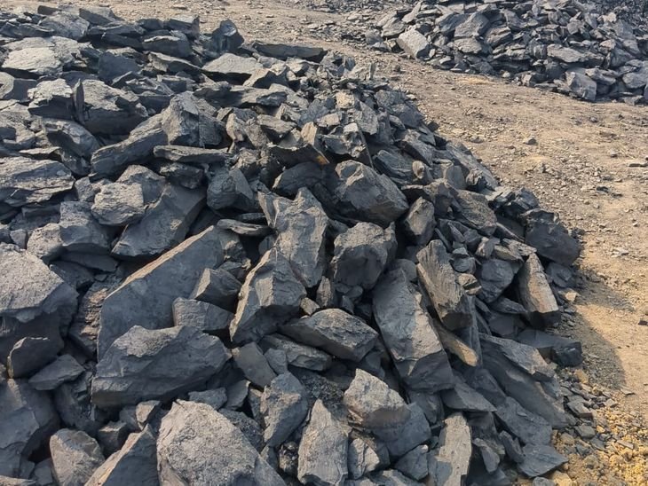 लातेहार में 300 टन अवैध कोयला बरामद | लातेहार में 300 टन अवैध कोयला बरामद: 6 लोगों को पकड़ा, कोयला खोदकर रखा गया था - Latehar News