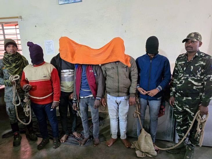 लातेहार में पांच चोर रंगे हाथ गिरफ्तार | जालसाजी में पांच चोर रंगे हाथ गिरफ्तार: अवैध तरीके से टावर लगाकर दोस्ती कर चोरी का मामला, गुप्त सूचना पर हुई कार्रवाई - Latehar News