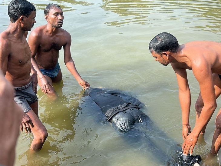धनबाद में तालाब से मिला वृद्ध का शव | तालाब में बने तालाब से वृद्ध का शव बरामद: शुक्रवार से लापता थे राजनगर के नारायण सिंह, तालाब के पास मिले तालाब से वृद्ध का शव - धनबाद समाचार