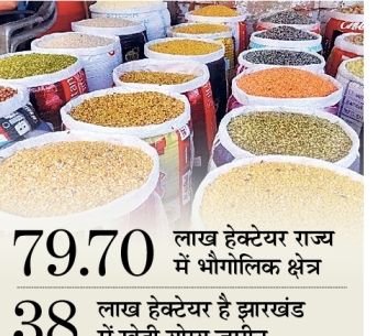 राज्य में दालों का प्रति हेक्टेयर उत्पादन 1060 किलोग्राम है, जो राष्ट्रीय औसत से अधिक है | राज्य में दलहन का प्रति हेक्टेयर उत्पादन 1060 किलो, यह राष्ट्रीय औसत से अधिक - रांची न्यूज़