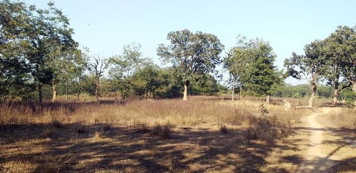 सात साल के सर्वेक्षण के बाद भी, जीवंधारा कोल प्रोजेक्ट शुरू नहीं हुआ है अफ़रपदुहे तंग