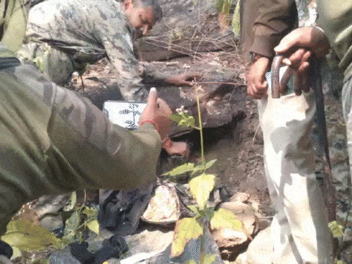 AK-47 राइफल, पेट्रोल बम और जंगल से बरामद कारतूस | जंगल से एके -47 raba, पेटthurोल बम r औ rayraurतूस rairta: 22 therी को को को r यही यही r दो यही r नक नक r नक नक ray नक ktama kayta कियras kayta ढेras kaythata kayta tayrasa ढे rasa tayana ढेray