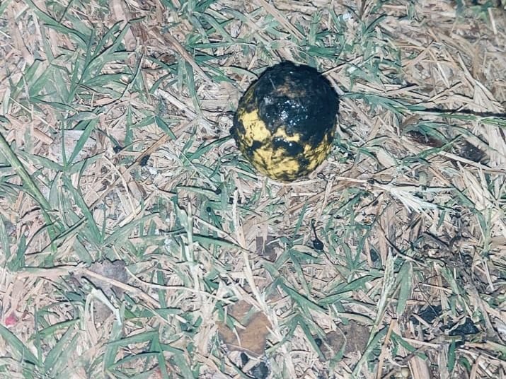 कोड्रमा में डीजे विवाद का भयानक परिणाम | डीजे kask kana kanauk: rayran के क क के के से से से से से से से से से से से से से से से से के के के के के के के के के के के के के के के के के के के के के के के के के के के के kastak बम के के के के के के के के के के kastak बम के kastak अफ़र्मा नाइस - कोडर्मा समाचार