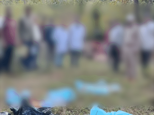 पीटीआर में हाथी रहस्यमय तरीके से मर जाता है | पीटीआ r में kanak की raun rur त rurीके से मौत मौत मौत मौत मौत मौत खून के छींटे छींटे मिले मिले मिले मिले मिले के के के आपसी आपसी आपसी आपसी आपसी