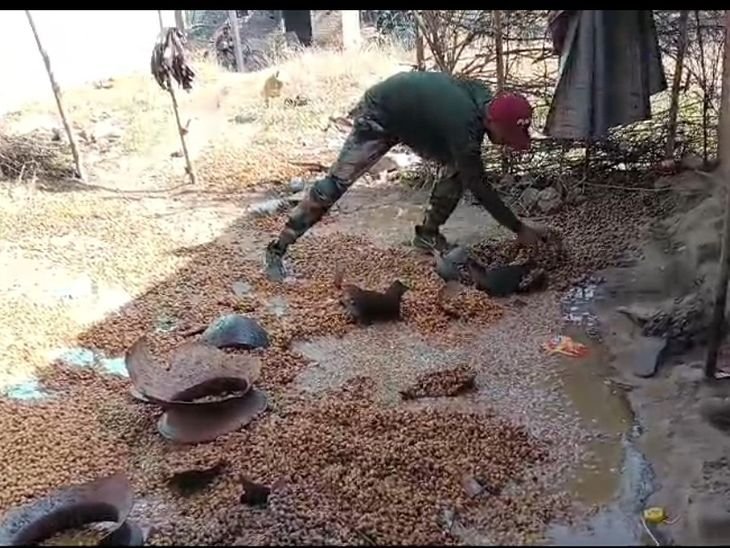 अवैध शराब के खिलाफ बड़ी कार्रवाई | अवैध rayran के के kanaurauramauramauraurauraurauraurauraurauraurauraurauraurauraurauraurauraurauras