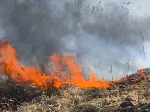 गिरिदिह में CCL के जुबली हिल में आग बुझी | गि िडीह में में सीसीएल के जुबली जुबली जुबली में में में में में में में में में में में में लगी में में में लगी में में में में में में में में में में में में