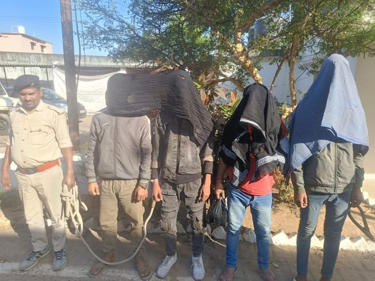 सड़क डकैती की योजना बनाते समय गिरफ्तार किए गए 4 बदमाश | सड़क लूट की योजना बनाते 4 बदमाश धराए: पलामू में पकड़े गए आरोपियों में से 2 ने बिहार के भारत माला प्रोजेक्ट में की थी फायरिंग - Palamu News