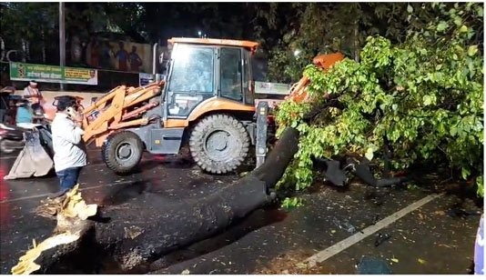 देर शाम तेज हवा के साथ आयी बारिश ने बिगाड़ी शहर की सूरत