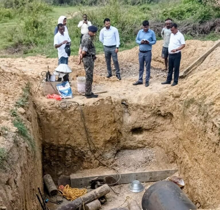 उप विकास आयुक्त ने बाघमारा में विकास कार्यों का लिया जायजा