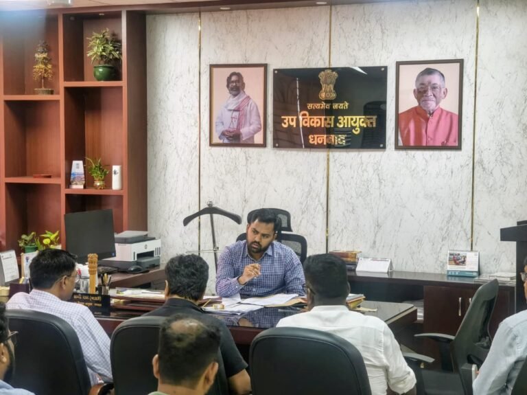 उप विकास आयुक्त ने सड़क परियोजनाओं में तेजी लाने का दिया निर्देश