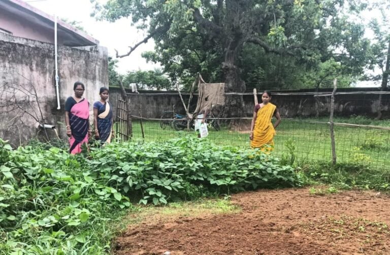 आंगनबाड़ी केंद्रों में पोषण वाटिका के विकास के लिए प्रतियोगिता का आयोजन